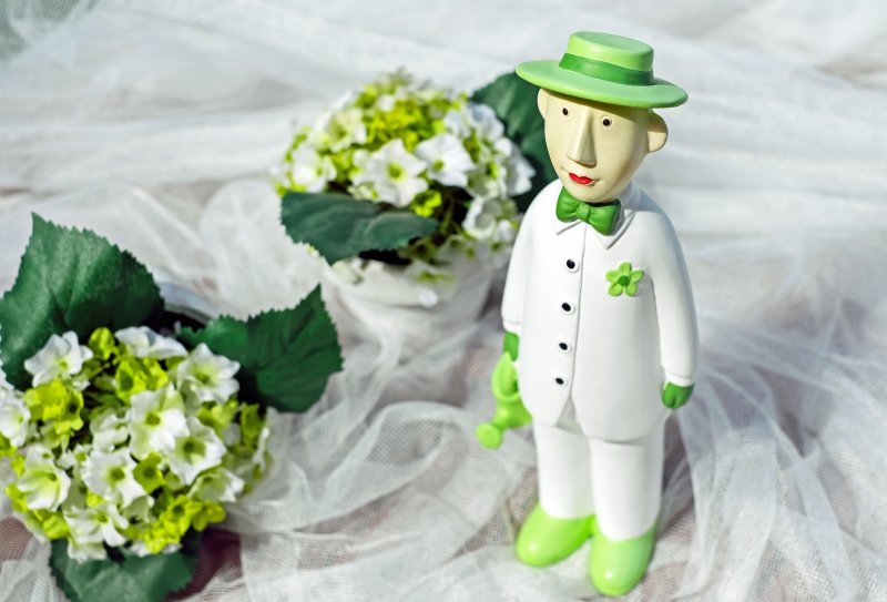 ecommerce-CAILLE-min_man-person-flower-green-toy-fig-546529-pxhere.com